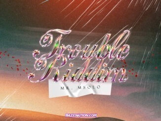 Mr. Msolo - TROUBLE RiDDiM EP ZIP