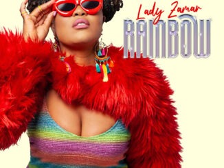 Lady Zamar - Colours